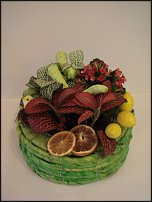 www.floristic.ru - .   .