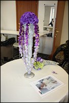 www.floristic.ru - .     -   !