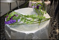 www.floristic.ru - Флористика. Стабилизированные или консервированные растения - аналог искусственных цветов!