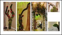 www.floristic.ru - . .      .