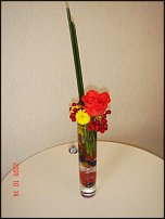 www.floristic.ru - .  