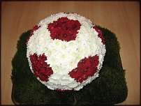 www.floristic.ru - . !!!!!