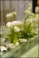 www.floristic.ru - . Preston Bailey