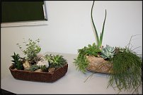 www.floristic.ru - .   .