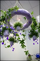 www.floristic.ru - .   .