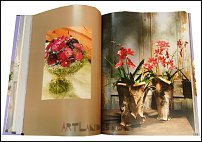 www.floristic.ru - . Nicole von Boletzky