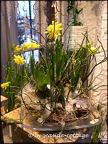 www.floristic.ru - Флористика. Экспонировать витрину и товар в ЦВЕТОЧНОМ магазине-это как?