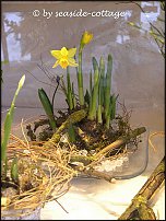 www.floristic.ru - Флористика. Экспонировать витрину и товар в ЦВЕТОЧНОМ магазине-это как?