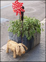 www.floristic.ru - Флористика. Экспонировать витрину и товар в ЦВЕТОЧНОМ магазине-это как?