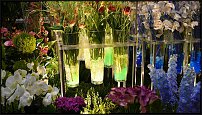 www.floristic.ru - Флористика. Экспонировать витрину и товар в ЦВЕТОЧНОМ магазине-это как?