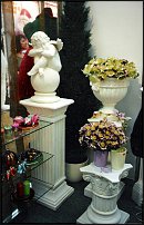 www.floristic.ru - .       - ?