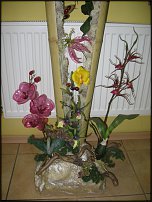 www.floristic.ru - Флористика. Объекты