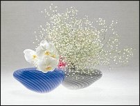 www.floristic.ru - .  . .    .