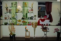 www.floristic.ru - Флористика. Экспонировать витрину и товар в ЦВЕТОЧНОМ магазине-это как?