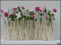 www.floristic.ru - .  . .    .