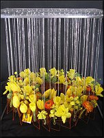 www.floristic.ru - .  . .    .