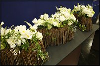 www.floristic.ru - .  . .    .