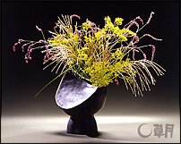 www.floristic.ru - .  . .    .