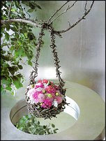 www.floristic.ru - . Elly Lin