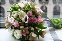 www.floristic.ru - . Helleborus  - 