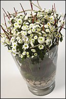 www.floristic.ru - . "Just Chrysanthemum"  )