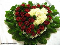 www.floristic.ru - .  