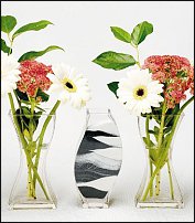 www.floristic.ru - . .   