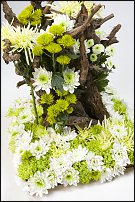 www.floristic.ru - . "Just Chrysanthemum"  )