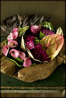 www.floristic.ru - . Gary Loen -  