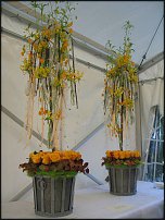 www.floristic.ru - . Gary Loen -  