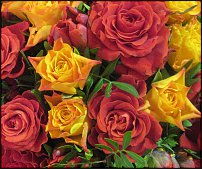     
: IMG_0469 g.jpg
: 1930
:	338.4 
ID:	23290