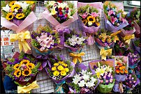 www.floristic.ru - .  