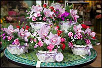 www.floristic.ru - .  