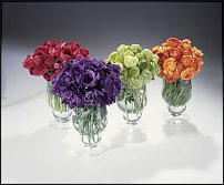 www.floristic.ru - .  . .    .