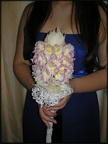 www.floristic.ru - . 