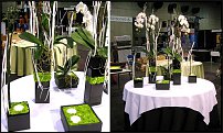 www.floristic.ru - .  . .    .