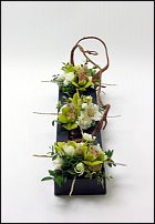 www.floristic.ru - .  . .    .