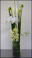 www.floristic.ru - .  . .    .