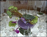 www.floristic.ru - . , ....