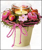 www.floristic.ru - .       - ?