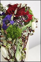 www.floristic.ru - .   