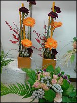 www.floristic.ru - .       - ?