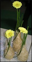 www.floristic.ru - .   ?