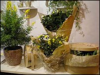 www.floristic.ru - .   .