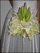 www.floristic.ru - . 