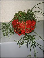 www.floristic.ru - . , ....