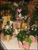 www.floristic.ru - .   .