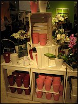 www.floristic.ru - Флористика. Экспонировать витрину и товар в ЦВЕТОЧНОМ магазине-это как?