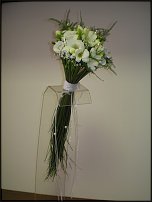 www.floristic.ru - .    ?