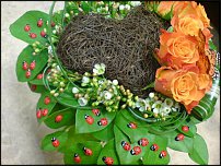 www.floristic.ru - .  .